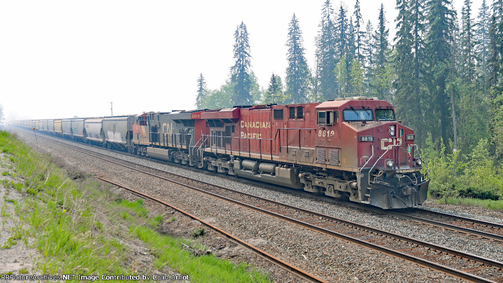 CP 8819